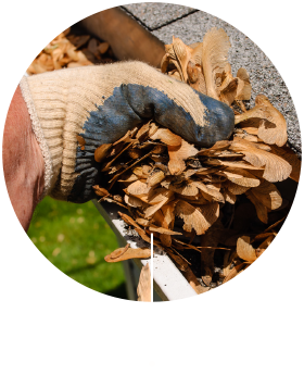 debris-1 debris-1