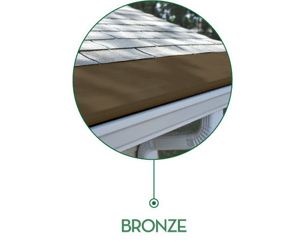 bronze bronze