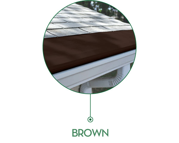 brown brown