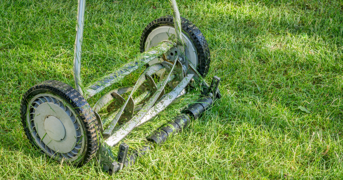 reel-mower reel-mower